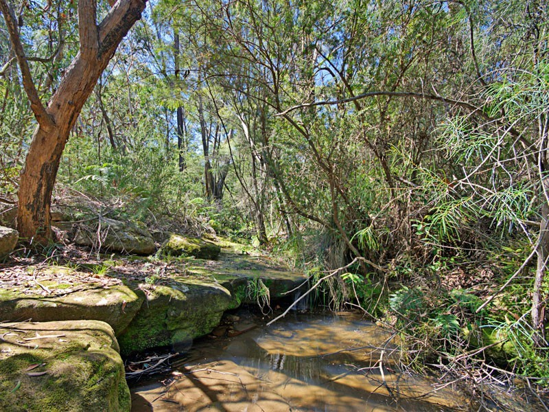 249 Somersby Falls Road, Somersby NSW 2250