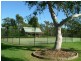 64 Ghilkes Road, Somersby NSW 2250