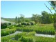 64 Ghilkes Road, Somersby NSW 2250