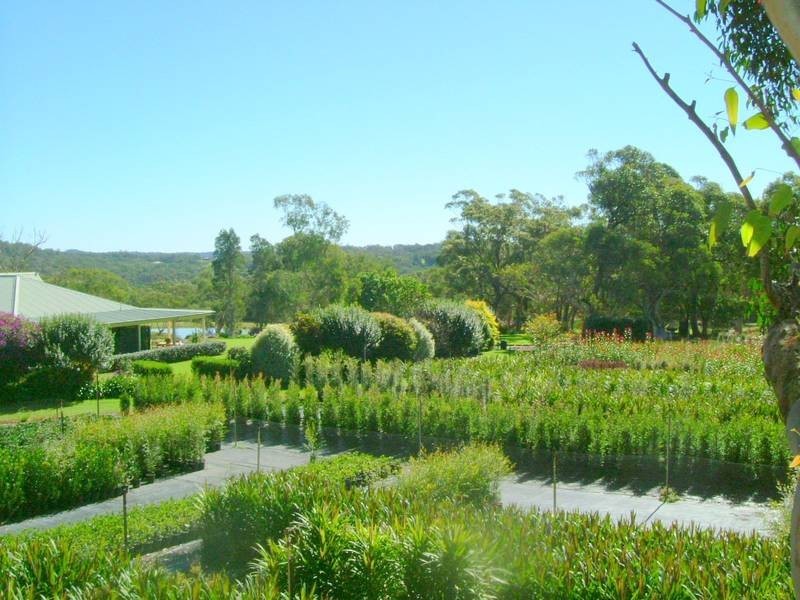 64 Ghilkes Road, Somersby NSW 2250