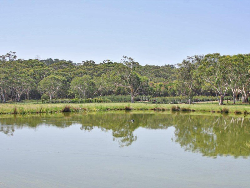 64 Ghilkes Road, Somersby NSW 2250