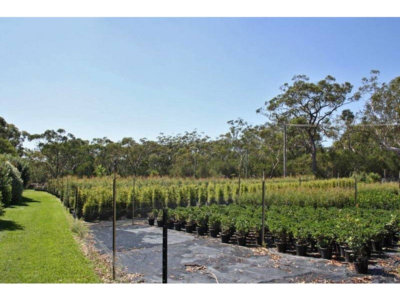 64 Ghilkes Road, Somersby NSW 2250