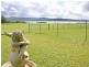 199 Steyne Road, Saratoga NSW 2251