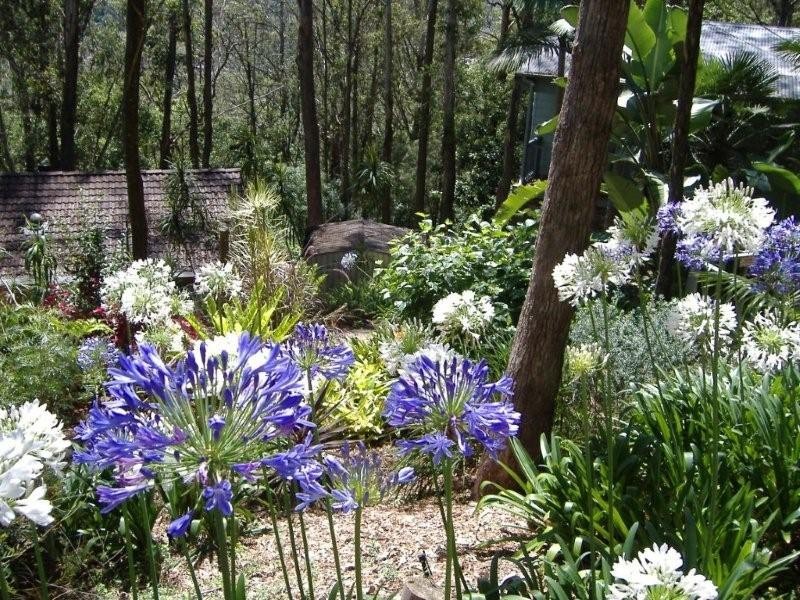 17 Bangalore Street, Ourimbah NSW 2258