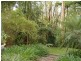 17 Bangalore Street, Ourimbah NSW 2258