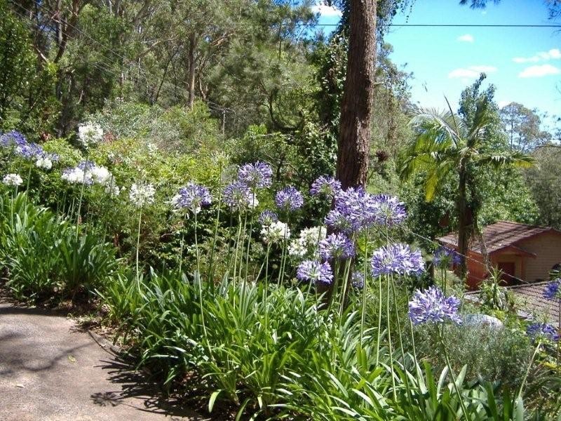 17 Bangalore Street, Ourimbah NSW 2258
