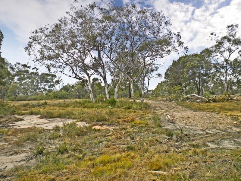 164 Pacific Highway, Mount White NSW 2250