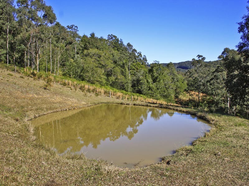 42 Chandlers Lane, Wyong Creek NSW 2259