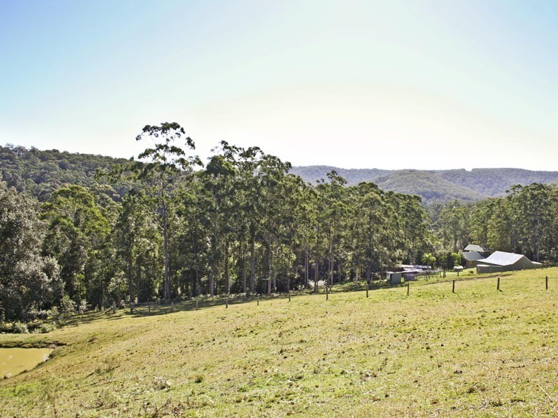 42 Chandlers Lane, Wyong Creek NSW 2259