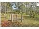 421 Oyster Shell Road, Lower Mangrove NSW 2250