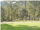 421 Oyster Shell Road, Lower Mangrove NSW 2250