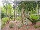 56 Karwin Avenue, Springfield NSW 2250