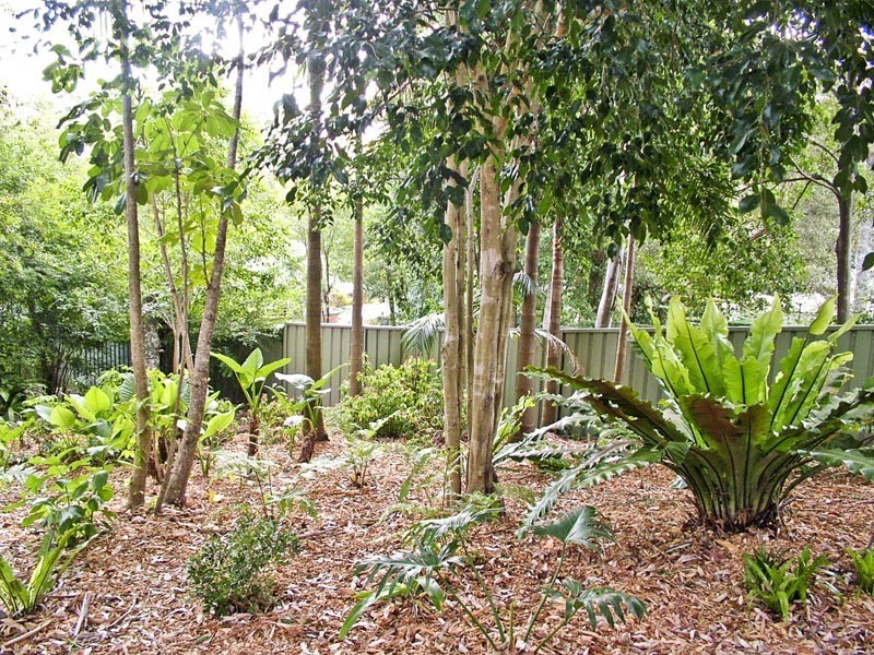 56 Karwin Avenue, Springfield NSW 2250