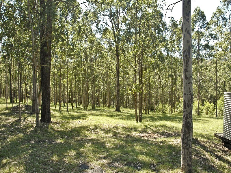 669 Dickson Road, Jilliby NSW 2259