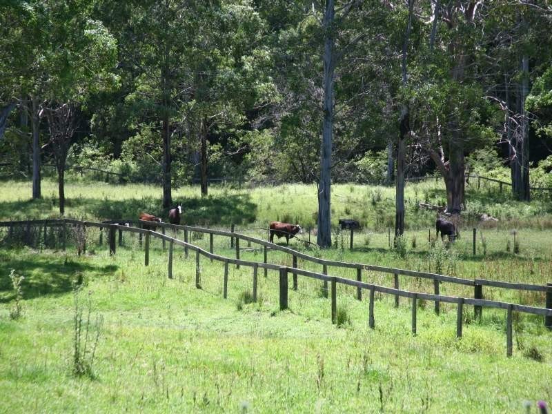 812 Ourimbah Creek Road, Ourimbah NSW 2258