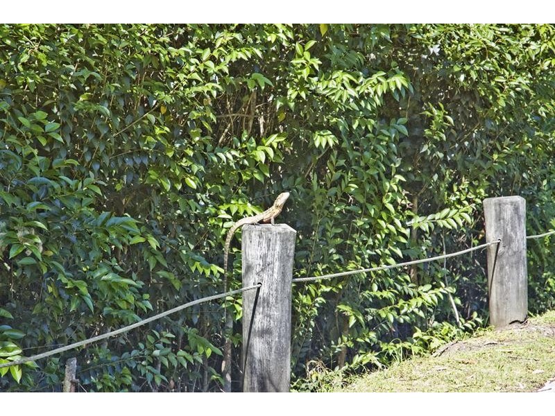 5 Avoca Valley Way, Kincumber NSW 2251