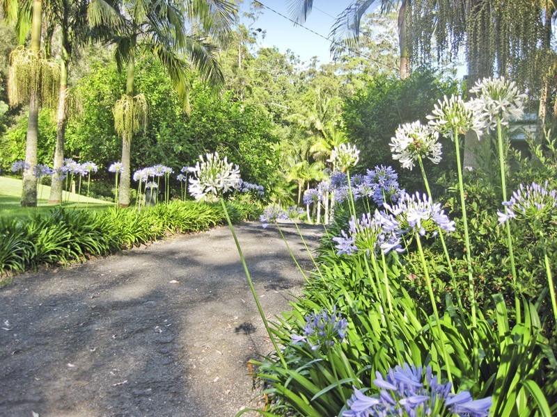 182 Peach Orchard Road, Fountaindale NSW 2258