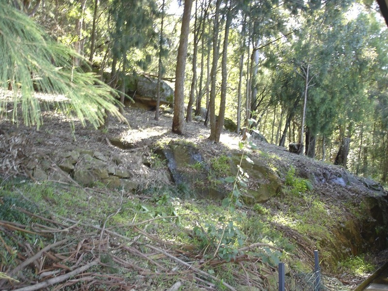 16 Rubie Crescent, East Gosford NSW 2250