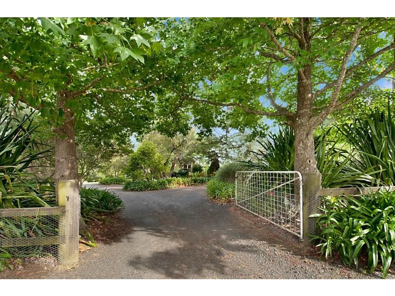 157 Blood Tree Road, Mangrove Mountain NSW 2250