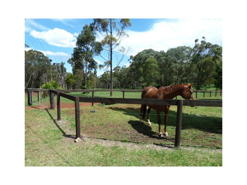 131 Pacific Highway, Mount White NSW 2250