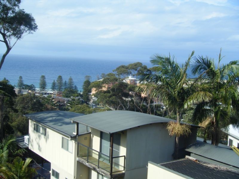 Terrigal NSW 2260