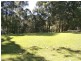 162 Hastings Road, Terrigal NSW 2260