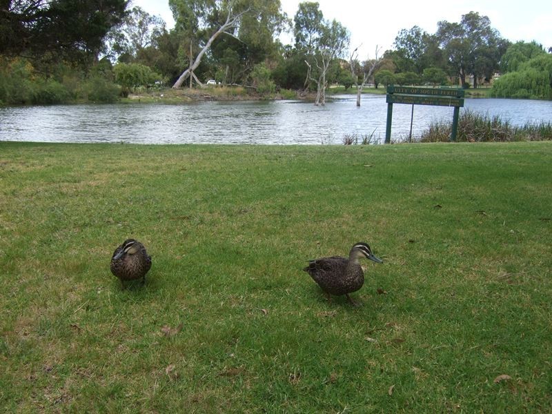 6/17 Coolidge Street, Como WA 6152