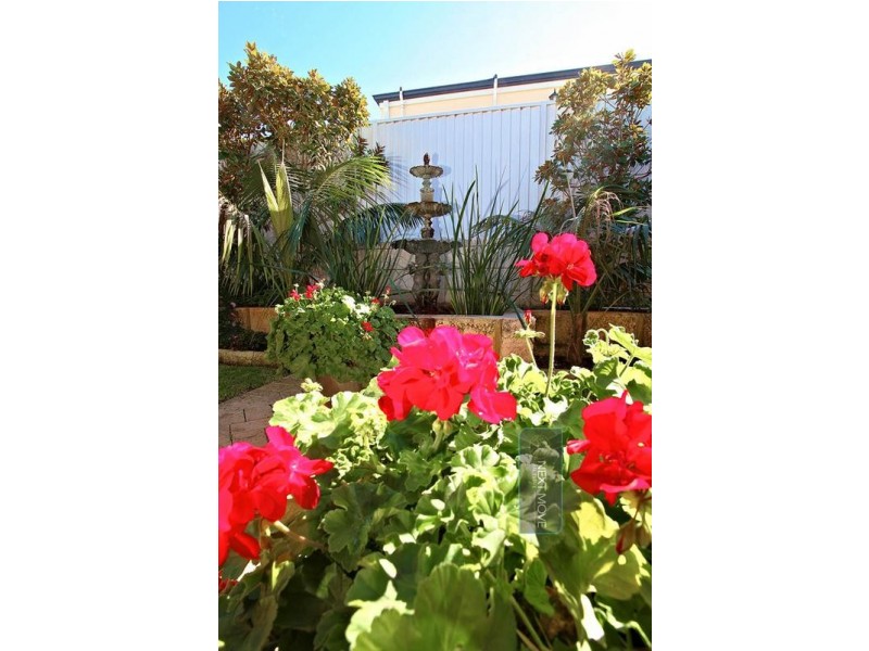 34 Tolley Court, Hamilton Hill WA 6163