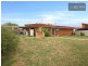 23 Bourbon Street, Hamilton Hill WA 6163