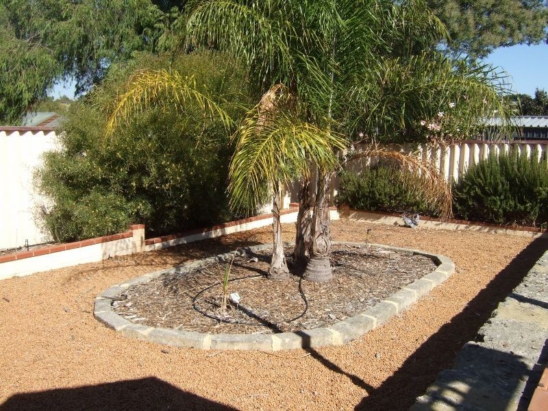 33 Milroy Street, Willagee WA 6156