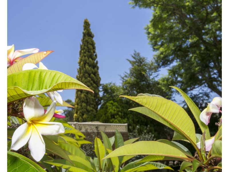 16A Matsen Close, Booragoon WA 6154