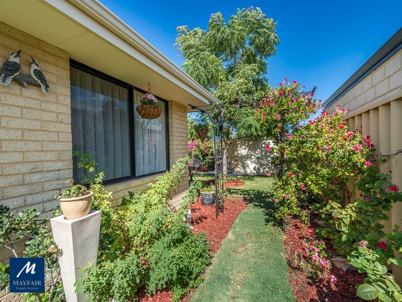 8 Moorlinch Street, Butler WA 6036