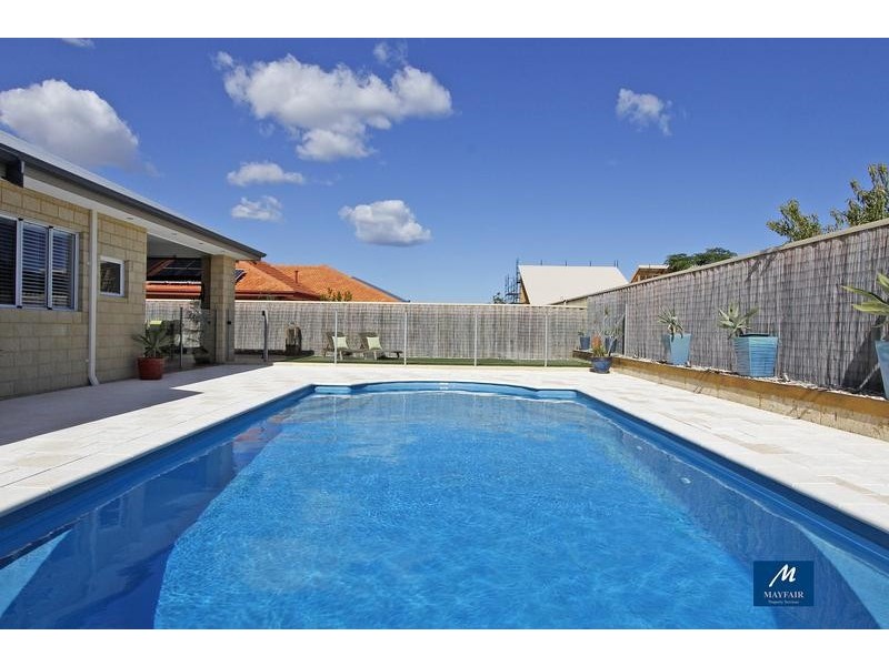 19 Bodorgan Avenue, Butler WA 6036