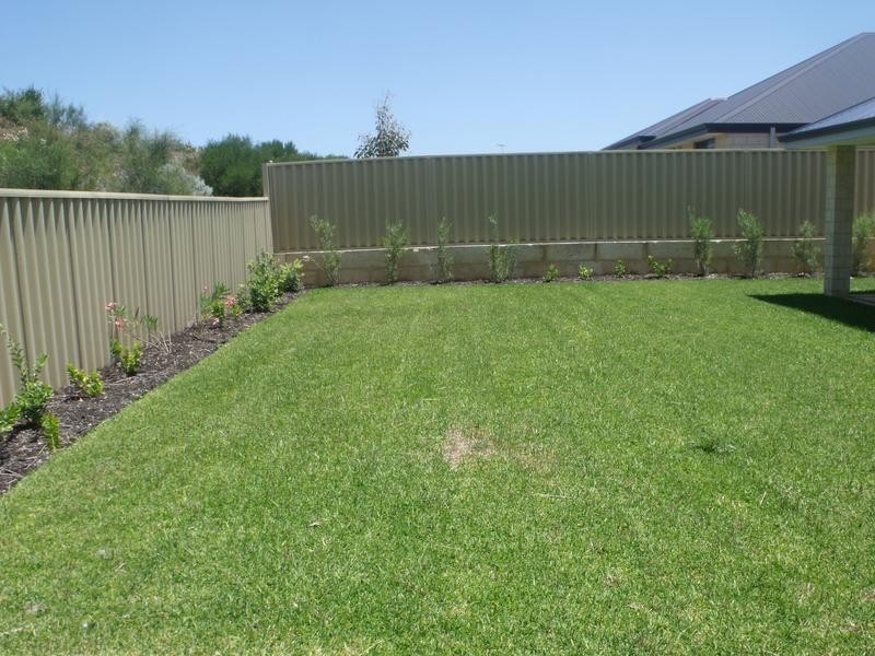 39 Claremorris Parkway, Butler WA 6036