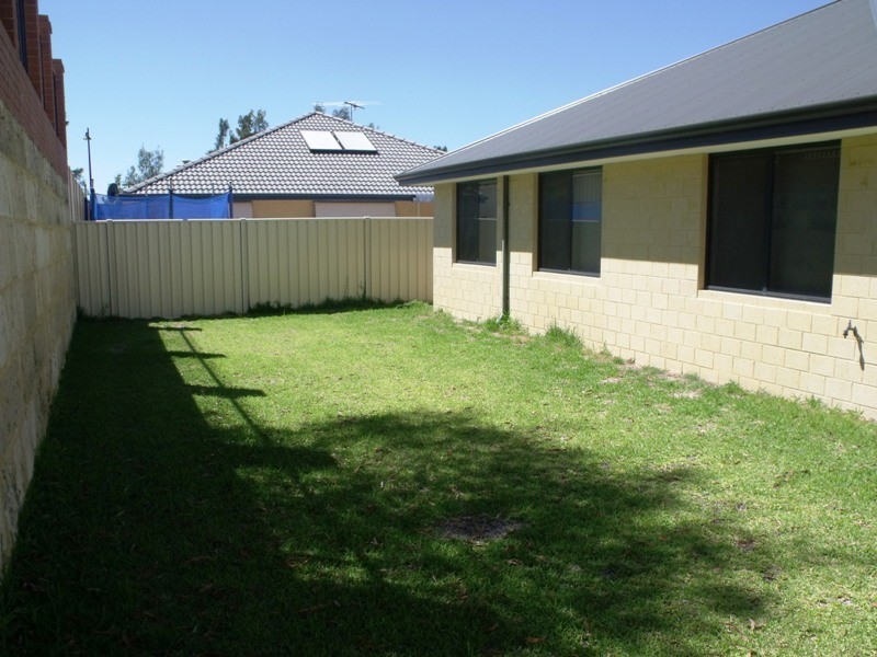 41 Carbine Loop, Banksia Grove WA 6031