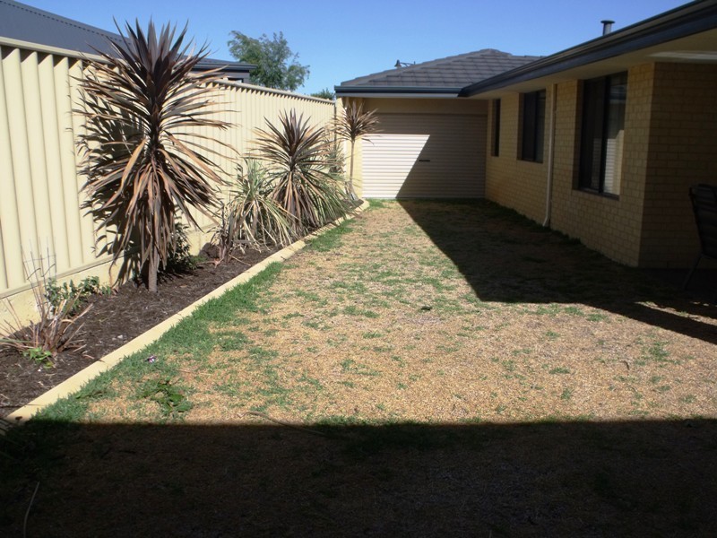 43 Dirleton Loop, Butler WA 6036