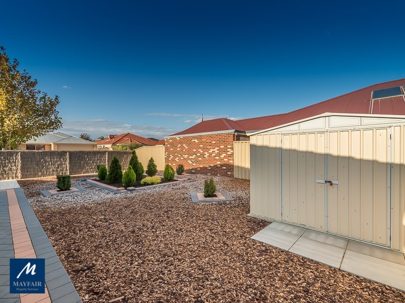 17 Chipping Crescent, Butler WA 6036