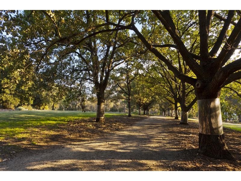 Fairfield VIC 3078