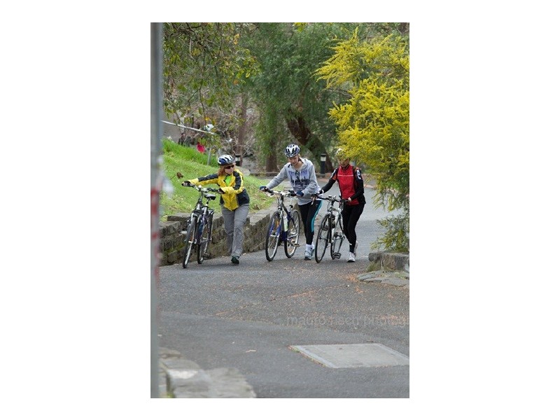 Fairfield VIC 3078