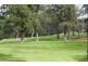 Fairfield VIC 3078