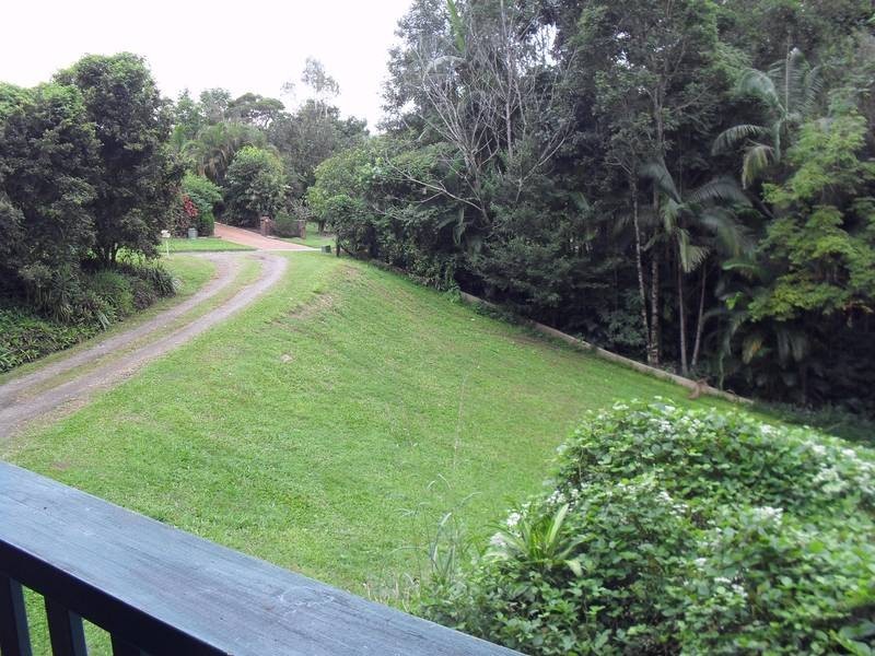 41 Mangovale Court, Diddillibah QLD 4559