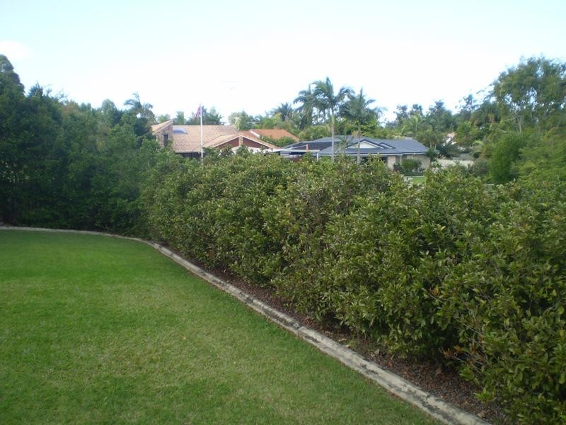 43 Jingellic Drive, Buderim QLD 4556
