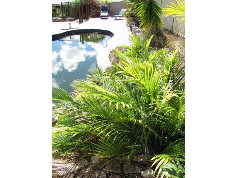 5 Piccabeen Crescent, Buderim QLD 4556