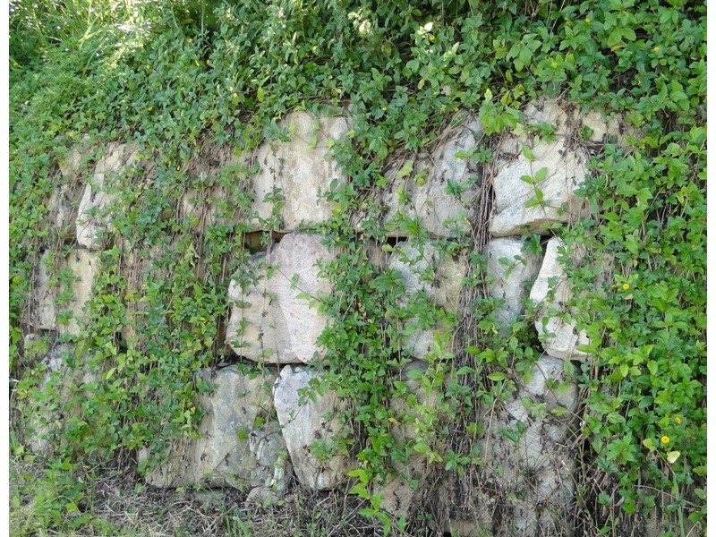 13 Eyries Ct, Little Mountain QLD 4551