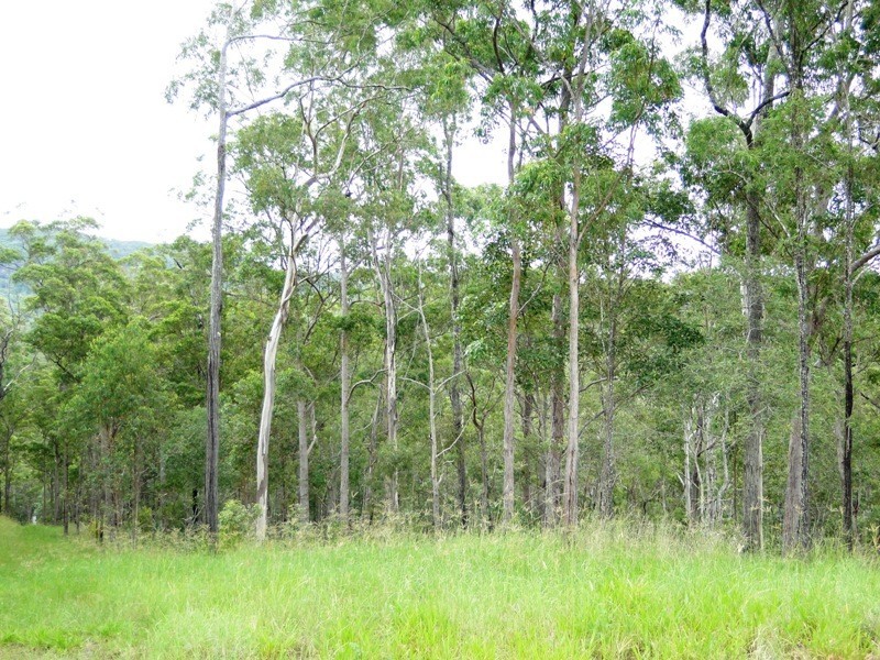 Imbil QLD 4570