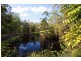 75 Tanawha Tourist Drive, Forest Glen QLD 4556