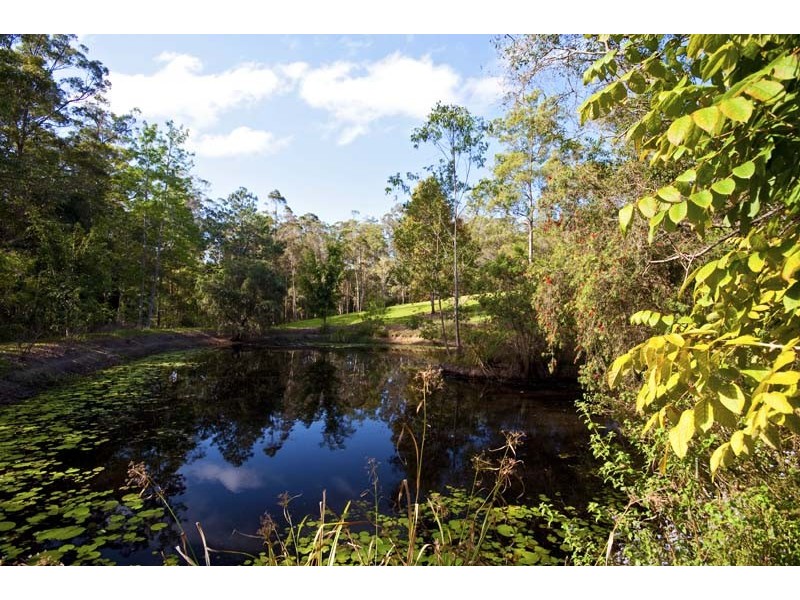 75 Tanawha Tourist Drive, Forest Glen QLD 4556