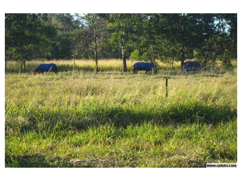 106 North Arm Road, North Arm QLD 4561