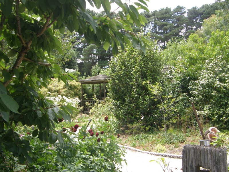 1670 Walkerville Road, Walkerville VIC 3956