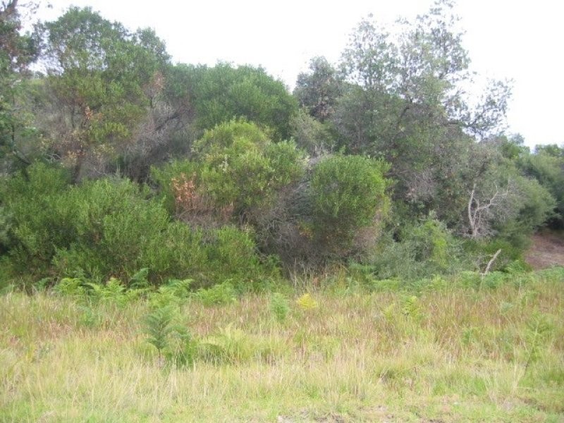 75 AlFRED CRESCENT, Venus Bay VIC 3956